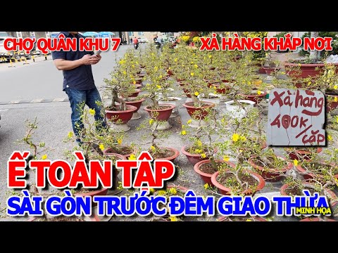 TOÀN CẢNH CHỢ HOA TẾT BÁN Ế KHẮP NƠI - CHẠY KHẮP SÀI GÒN TRƯỚC ĐÊM GIAO THỪA ĐÓN NĂM MỚI ẤT TỴ 2025