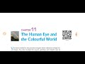 Class 10th Science: The Human Eye and the Colorful World