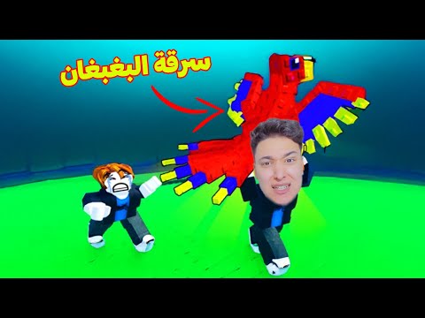 سرقة البغبغان 😱