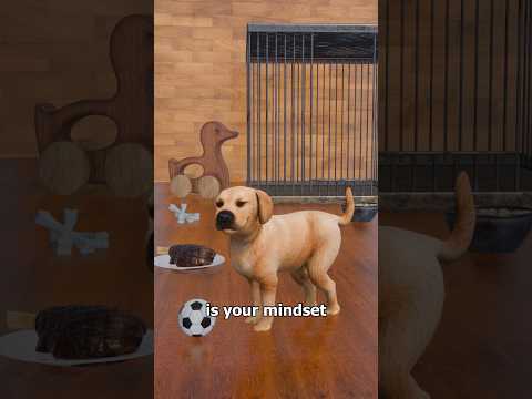 The Dog Cage Experiment 🐶
