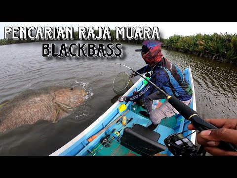 4 harti berturut-turut mencari tarikan terkuat si Raja Muara BLACKBASS