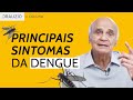 Dengue: Sintomas e Prevenção