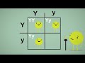 Mendelian Genetics Concepts