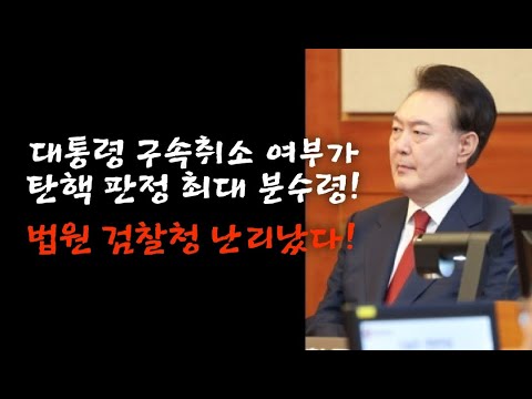 대통령 구속취소 여부가 탄핵 판정 최대 분수령! 법원 검찰청 난리났다.(250220)