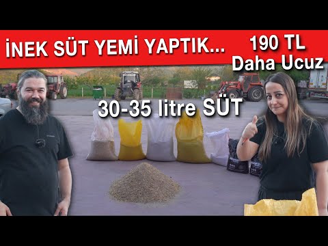 İnek SÜT YEMİ Yaptık (Kendi Yemini Kendin Yap)