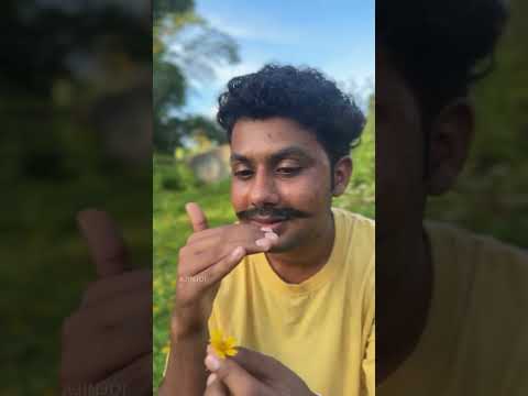 എല്ലായിടത്തും ഉണ്ട് 🙂💯#hashiree