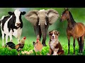 Identifying Sounds in Video Sections