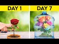 Understanding Video Section Summaries
