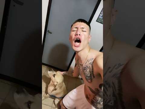 AL VIEJO 👴🏻 ROCKY 🐶❤️ le gustan los MIMOS 🤎 #viral #argentina #videoshort #humor #amor #youtube