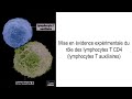 Lymphocyte Function and Immune Response