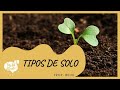 Características e Importância do Solo