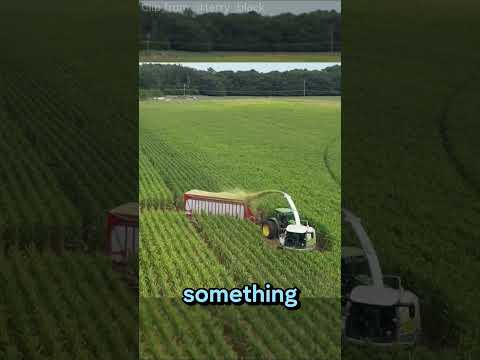 🌽Harvester is driving in a circle? 🚜