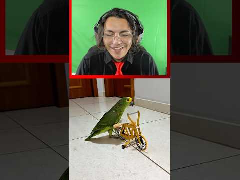 🔴PAPAGAIO DE BICICLETA! ib:Kennyslowbird