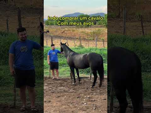 Ganhei um BURRO de meus avós🤣#humor #comedia