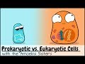 Comparing Prokaryotic and Eukaryotic Cells