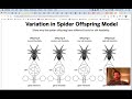Gene Expression and Modeling Activities