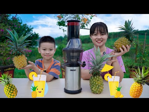 Hai Chị Em Đi Hái Dứa Về Ép Nước ❤ BIBI TV ❤