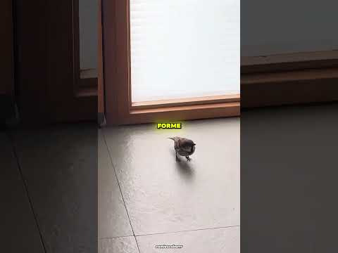 Le père décédé est revenu rendre visite à sa fille.