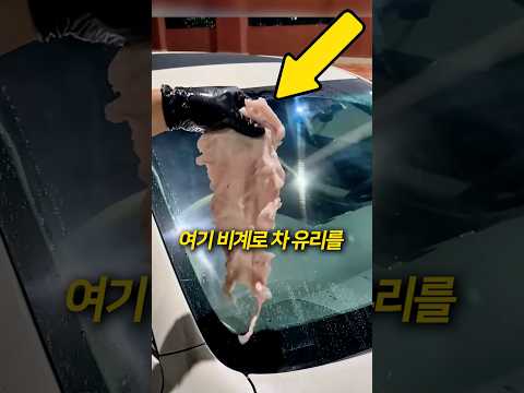 세차할때 끝판왕인 용품