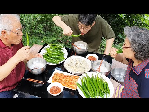 푹푹찌는 찜통더위~! 고추 따서 얼음물에 밥 말아먹기 (만두, 배추김치) chili pepper mukbang / korean recipes / asmr mukbang