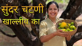 कैरीची तोंडीलावणी | मेथांबा | कोयाडं | सुंदर चटणी | टक्कू | Native Recipe | Kokan 