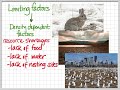 Exploring Limiting Factors in Population Ecology