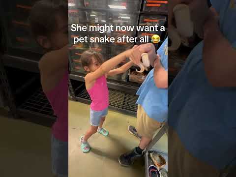 Funny snakes #fyp #funny  #funnyvideos   #foryou #animals #pet #us #funny