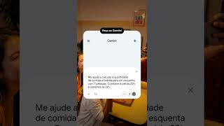 Organize as contas do rolê com o Gemini