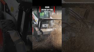 S590 Brush Cutting #bobcat #skidsteerloader #s590 #bobcatchallenge #brushcutter  #forestrycutter