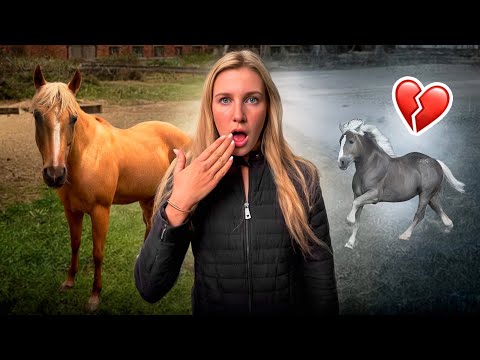 SCHOCK: SPARKY kommt unerwartet ZURÜCK😨 (sein Freund ist GESTORBEN😔)