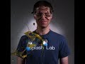 Fluid Dynamics and Material Properties