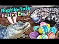 Easter Egg Adventure at Snake Discovery