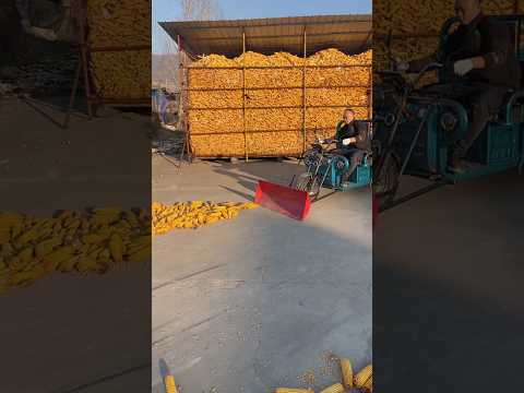 Amazing Farming Machine in Action 🚜💥 | JUST KD Agriculture | Part 2034