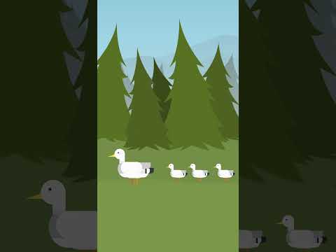 Good Fox | One Minute Story | Cartoon | #cartoonanimal