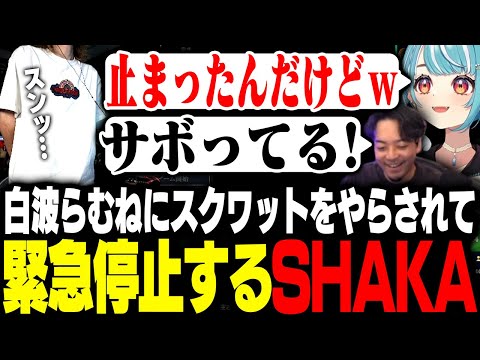 白波らむねにスクワットをやらされて緊急停止するSHAKA【League of Legends】