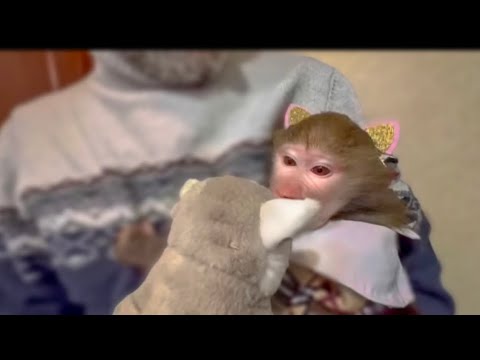 У Люськи новый образ- то ли леди, то ли чертик с ушками