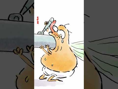🔞😏 Ces mouches ont très très faim #reproduction #animaux