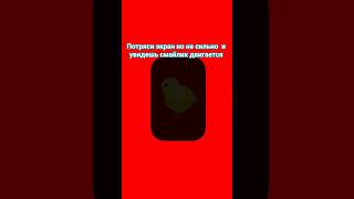 получилось? #сваты6 #ттд67 #animalsong #рекоммы #школасъесттебяночью