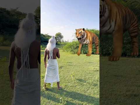 एक हनुमान भक्त की कहानी 🚩🙏🏼जय हनुमान 🙏🏼🙏🏼#shortvideo #trending #viralvideo #shorts
