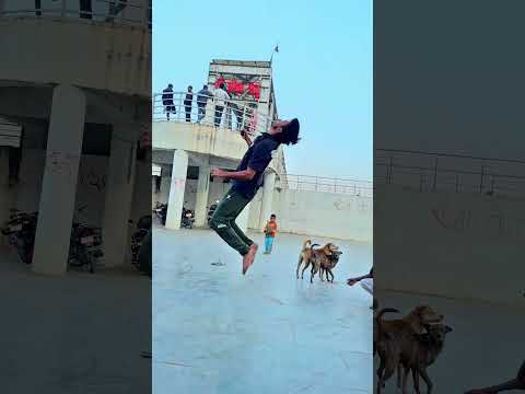 Dog is😭🥹best friend 🐶ever or maaf Karna 😥#viraljump #dogclothes #dogshorts #animals #dogvideos