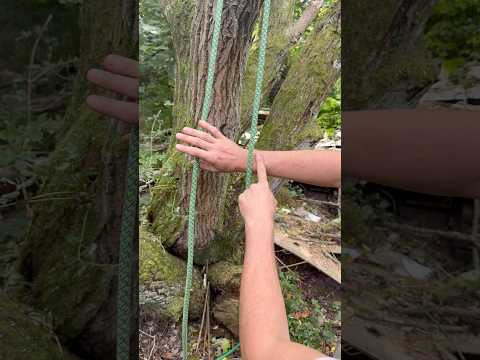 Running bowline snap method #knots #skills #rigging #outdoors