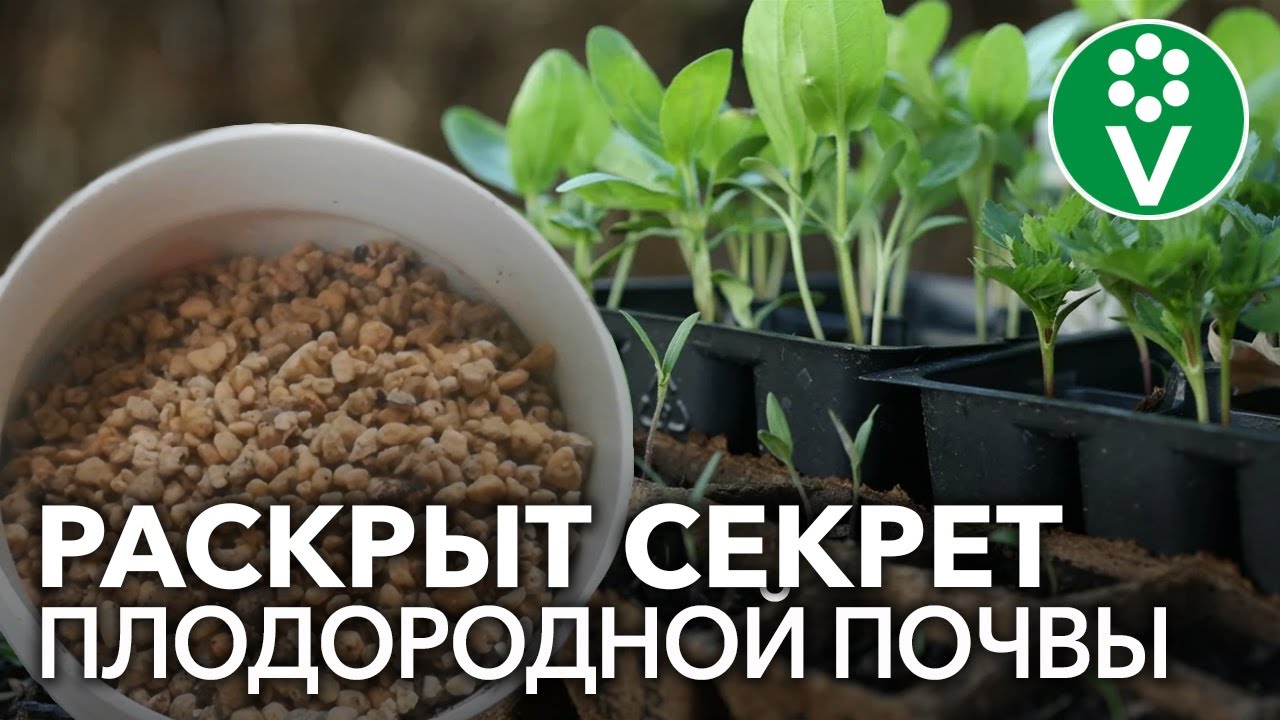 Откройте новую формулу плодородной почвы и здоровой рассады!