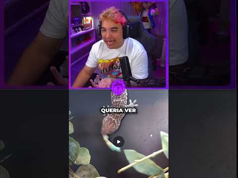 ESTO ME TRAUMO PARA TODO EL DIA