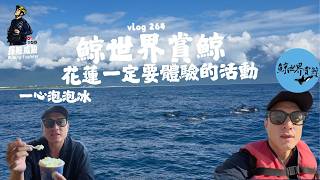 【鯨世界】花蓮一定要體驗的活動，來一趟最療育的賞鯨之旅｜ 探險威狼 Wilang Explorer ｜鯨世界 ｜賞鯨船｜海豚｜鯨魚｜賞鯨｜花蓮｜一心泡泡冰｜Vlog 264