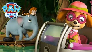 Um barulho assustador está a assustar os elefantes! | Patrulha Pata | PAW Patrol Episódio Português