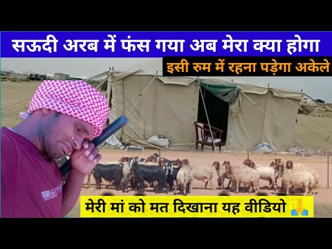 अकेले रहना है बकरी चराना है सऊदी अरब में पहाड़ जंगल के बीच | Saudi Arab | chandan good info ||
