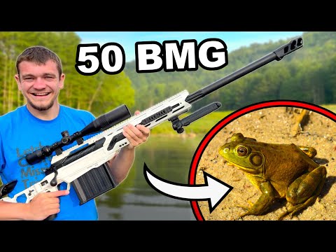 I Hunted Bullfrogs with My 50 Caliber Sniper Rifle!