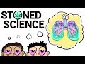 Understanding the Respiratory System