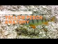 Fish Health Assessment Techniques