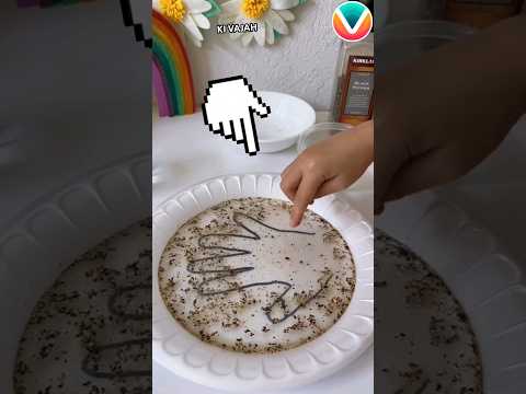 This is why its important to wash your hand 😱🫡(cred:thehibiscusteacher) #shorts #ytshorts #respect